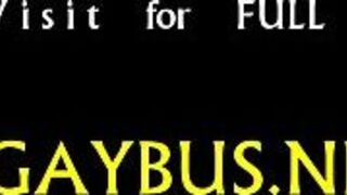 Gratifying blowjob with a homosexual porn video